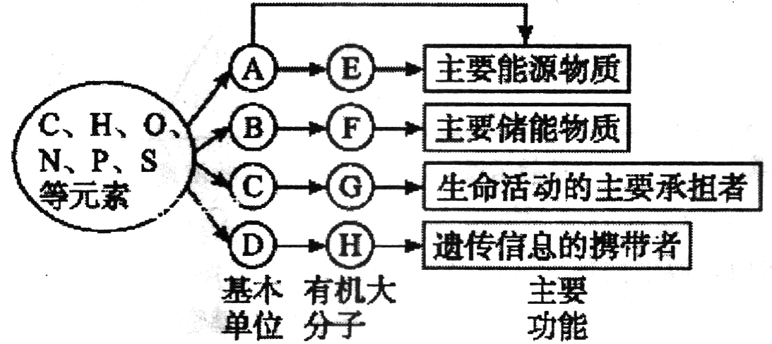 Yangzhong Teaching Studio