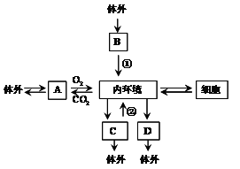 Yangzhong Teaching Studio