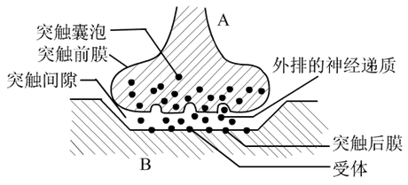 Yangzhong Teaching Studio