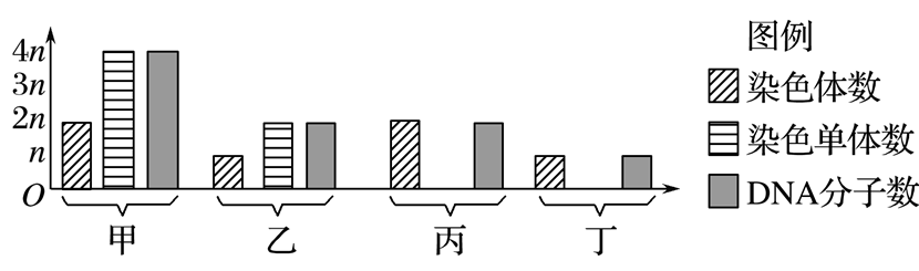 Yangzhong Teaching Studio