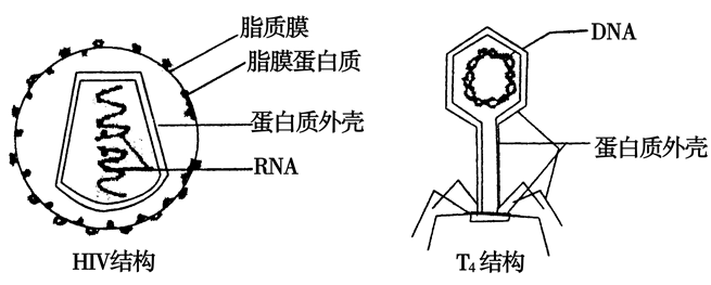 Yangzhong Teaching Studio