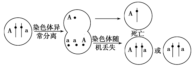 Yangzhong Teaching Studio