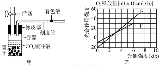 Yangzhong Teaching Studio