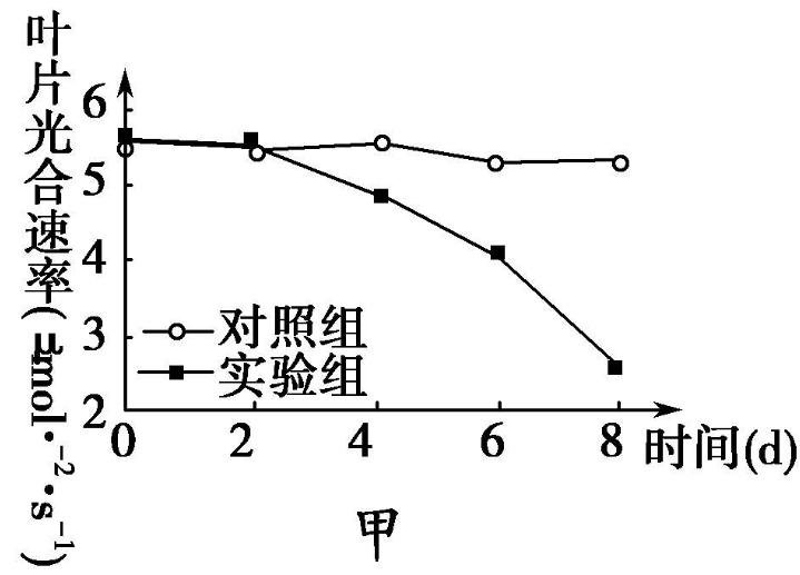 Yangzhong Teaching Studio