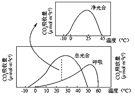 Yangzhong Teaching Studio