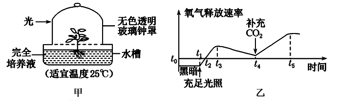 Yangzhong Teaching Studio