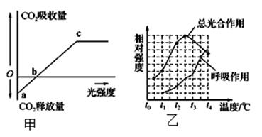 Yangzhong Teaching Studio