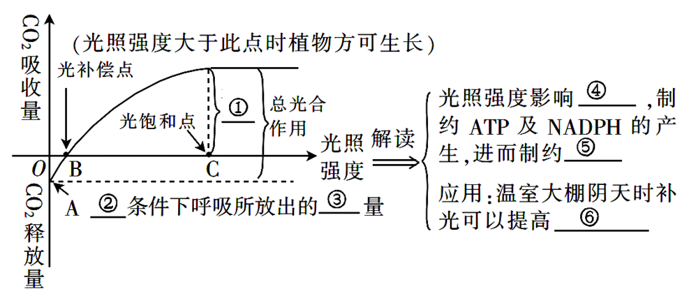 Yangzhong Teaching Studio