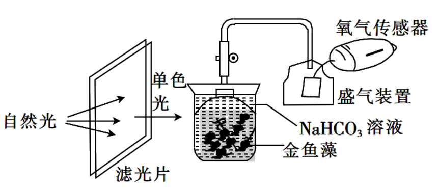 Yangzhong Teaching Studio