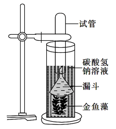 Yangzhong Teaching Studio