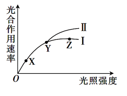 Yangzhong Teaching Studio