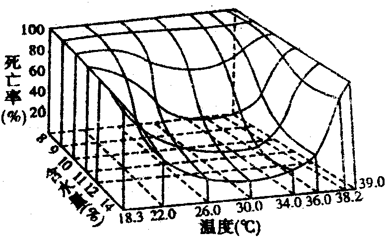 Yangzhong Teaching Studio