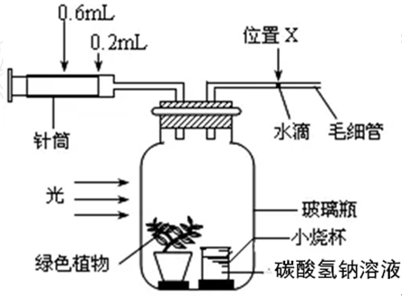 Yangzhong Teaching Studio