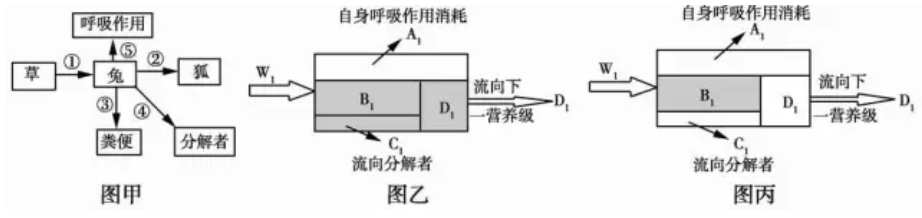 Yangzhong Teaching Studio