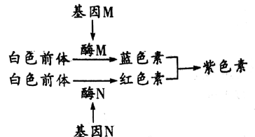 Yangzhong Teaching Studio