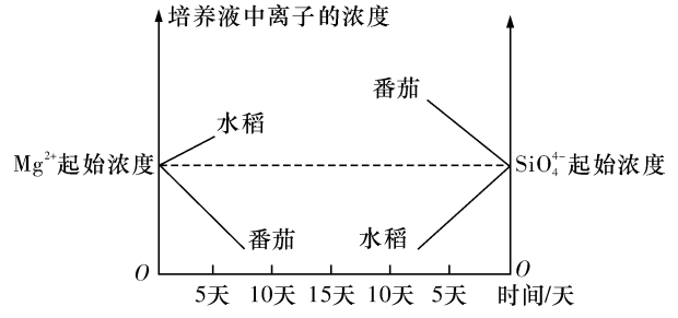 Yangzhong Teaching Studio