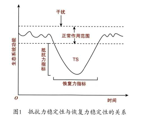 Yangzhong Teaching Studio