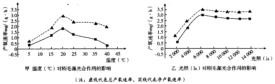 Yangzhong Teaching Studio