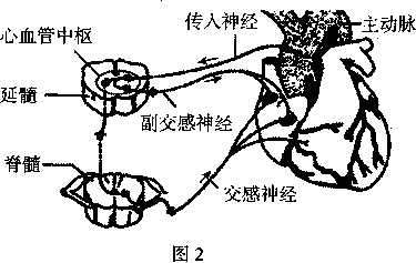 Yangzhong Teaching Studio