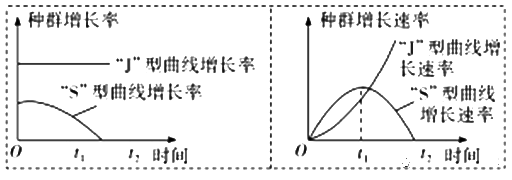 Yangzhong Teaching Studio