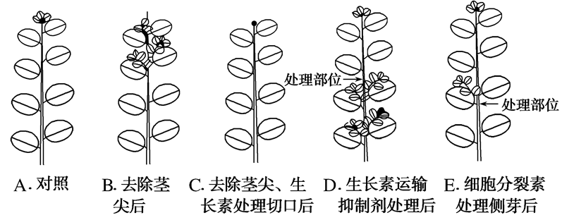 Yangzhong Teaching Studio