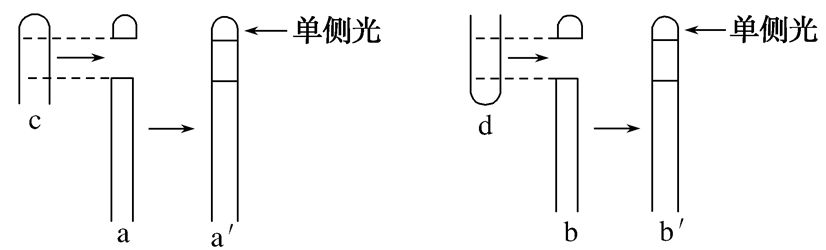 Yangzhong Teaching Studio