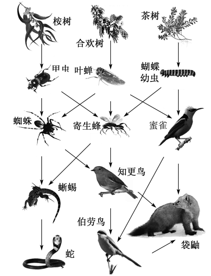 Yangzhong Teaching Studio