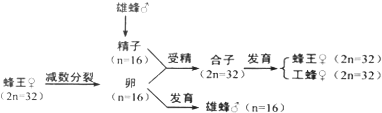 Yangzhong Teaching Studio