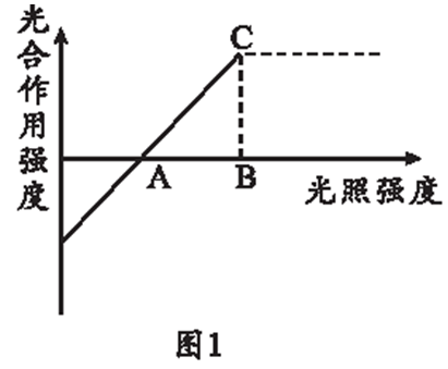 Yangzhong Teaching Studio