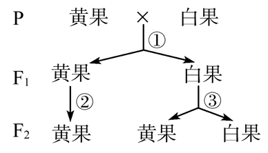 Yangzhong Teaching Studio