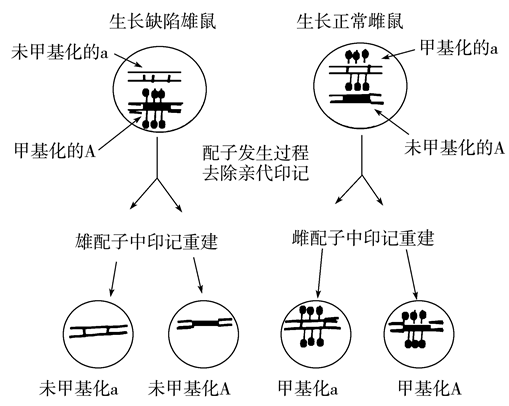 Yangzhong Teaching Studio