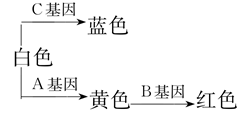 Yangzhong Teaching Studio