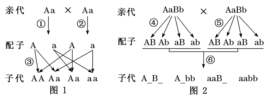 Yangzhong Teaching Studio