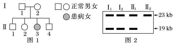 Yangzhong Teaching Studio