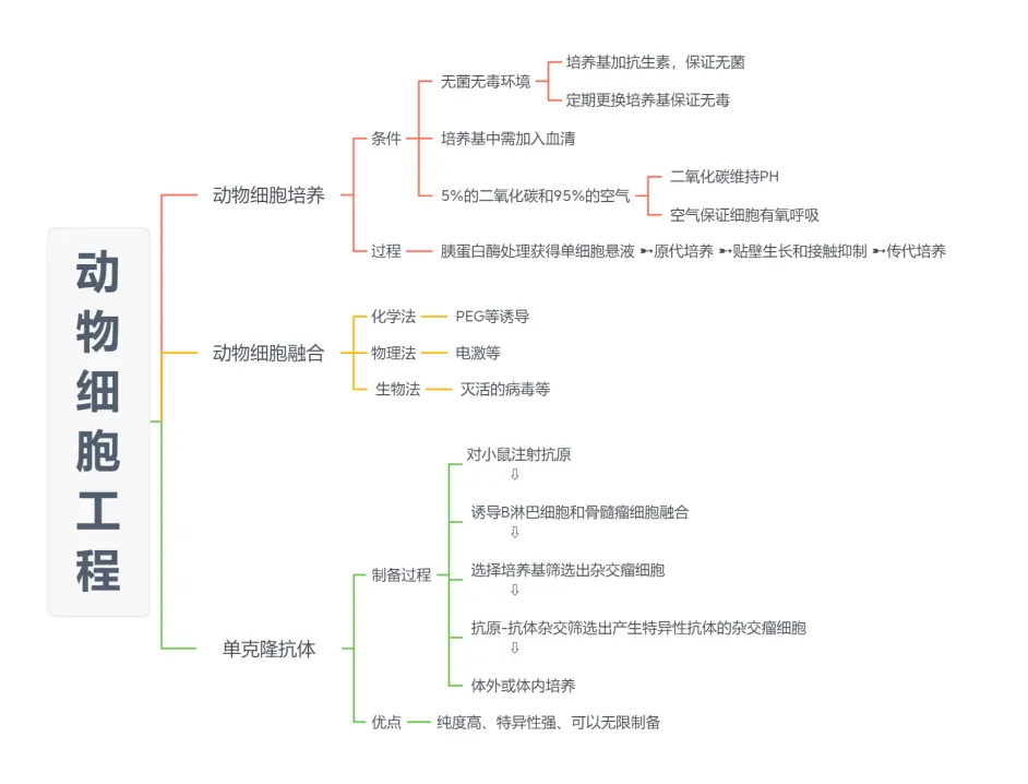 Yangzhong Teaching Studio