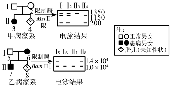 Yangzhong Teaching Studio