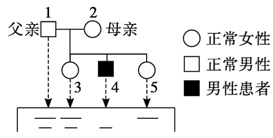 Yangzhong Teaching Studio