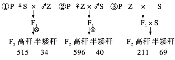 Yangzhong Teaching Studio