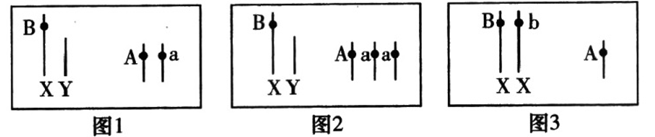 Yangzhong Teaching Studio