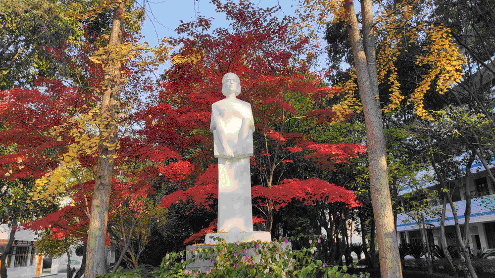 Yangzhong Teaching Studio