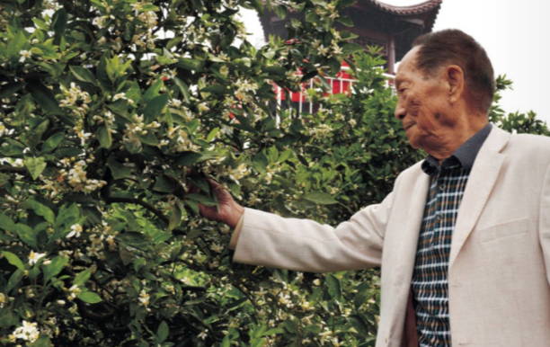 Yangzhong Teaching Studio