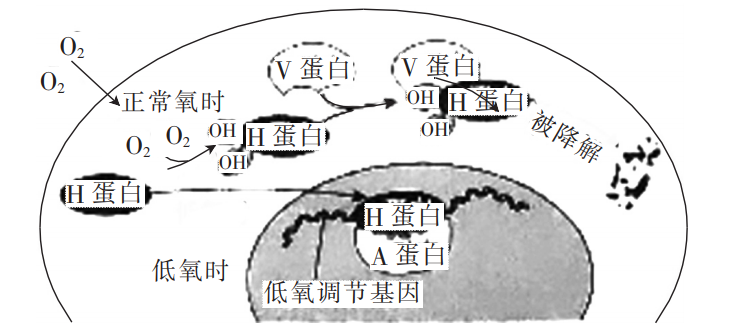 Yangzhong Teaching Studio