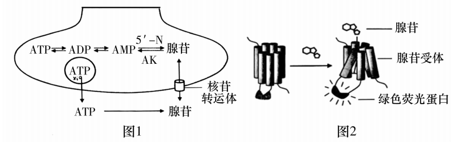 Yangzhong Teaching Studio