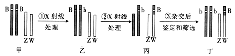 Yangzhong Teaching Studio