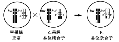 Yangzhong Teaching Studio