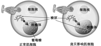 Yangzhong Teaching Studio