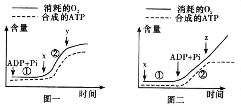 Yangzhong Teaching Studio