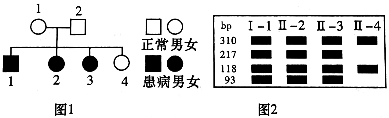 Yangzhong Teaching Studio