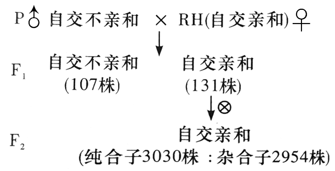 Yangzhong Teaching Studio