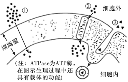 Yangzhong Teaching Studio